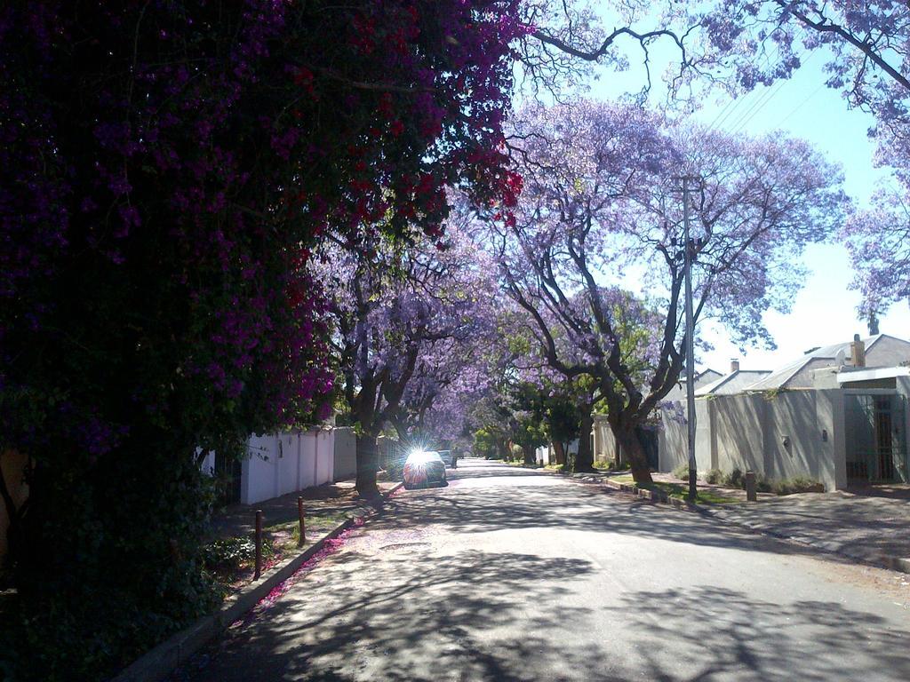 Thulani Lodge Johannesburg Esterno foto